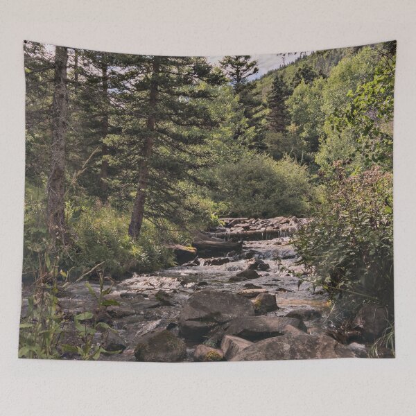Item preview, Wild Cucharas Creek: Sun and Shade designed and sold by Randy Heffner.