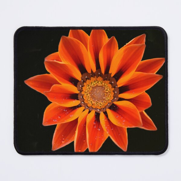 Item preview, Beauty in Bloom designed and sold by Yolanda Caporn Art.