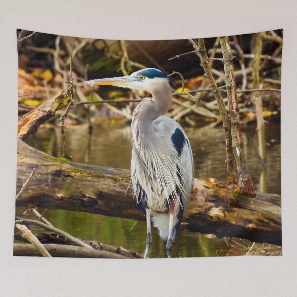 Item preview, The Stealthy Fisher designed and sold by Sunshine and Nature.