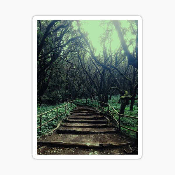 Laurisilva in La Gomera, Canary Islands Sticker
