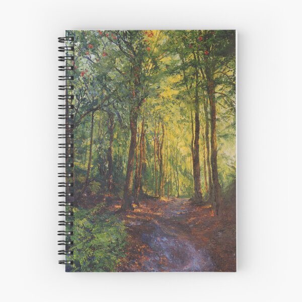Item preview, Reconnecting, Portmeirion Woods  designed and sold by R Gorton Landscapes.