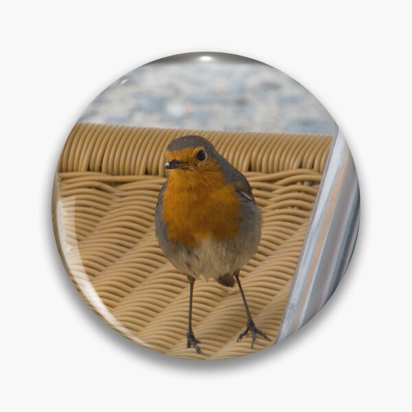 Item preview, Hi, I'm Robin, what's your name? designed and sold by Kasia Design.