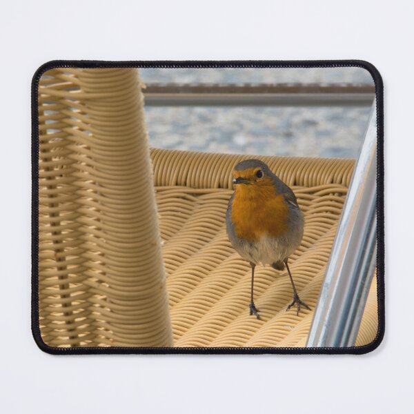 Item preview, Hi, I'm Robin, what's your name? designed and sold by Kasia Design.