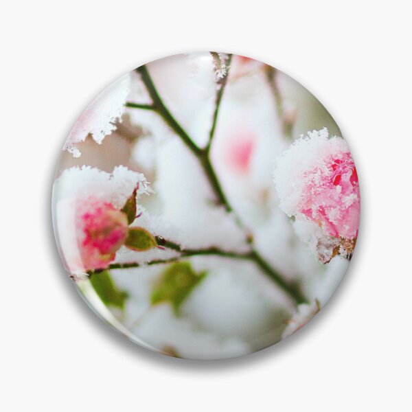 Item preview, Frosted Rose designed and sold by ontological.
