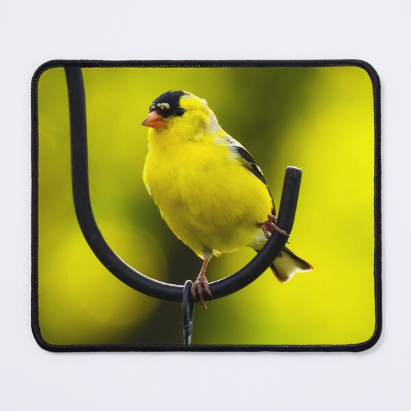 Item preview, Yello designed and sold by Sunshine and Nature.