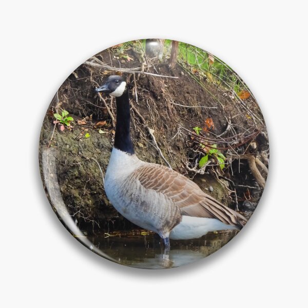 Item preview, Graceful Goose designed and sold by Sunshine and Nature.