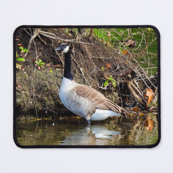 Item preview, Graceful Goose designed and sold by Sunshine and Nature.