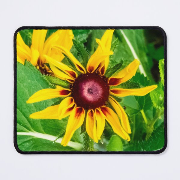 Item preview, Sunburst designed and sold by Sunshine and Nature.