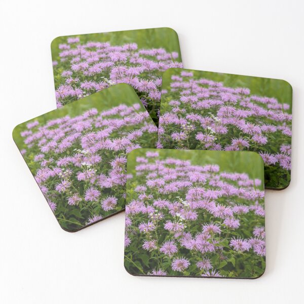 Item preview, Pollinator’s Paradise designed and sold by GlimpseOfNature.