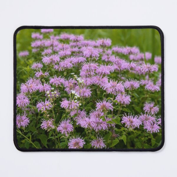 Item preview, Pollinator’s Paradise designed and sold by GlimpseOfNature.