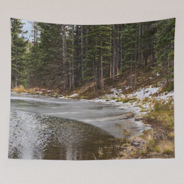 Item preview, Winter Begins on Bear and Blue designed and sold by Randy Heffner.