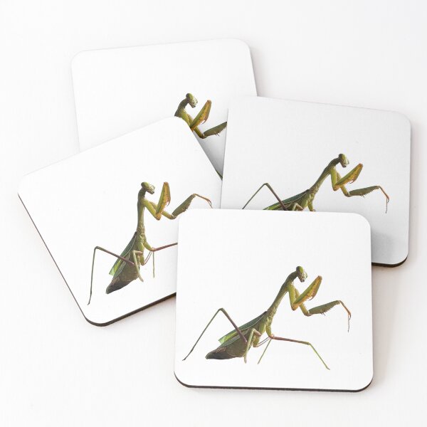 Item preview, Praying Mantis  designed and sold by Mystical Fairy Forage.