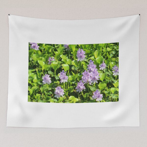 Item preview, Purple Water Hyacinth  designed and sold by Cynthia48.