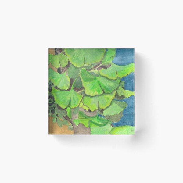 Item preview, Gingko Study designed and sold by KanaksSketches.