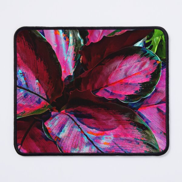 Item preview, Heat Advisory designed and sold by Angela Mayotte.