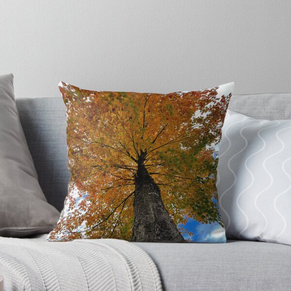 Item preview, Tree in the fall designed and sold by IMAGE IMPRINT STUDIO.