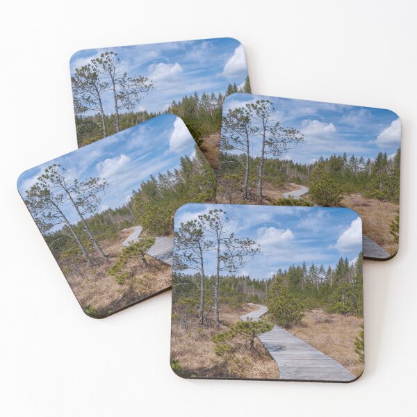 Item preview, Boardwalk through Murnau Moor, Bavaria designed and sold by Kasia Design.
