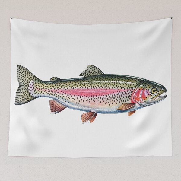 Item preview, Rainbow Trout designed and sold by 4rtistcDrift.