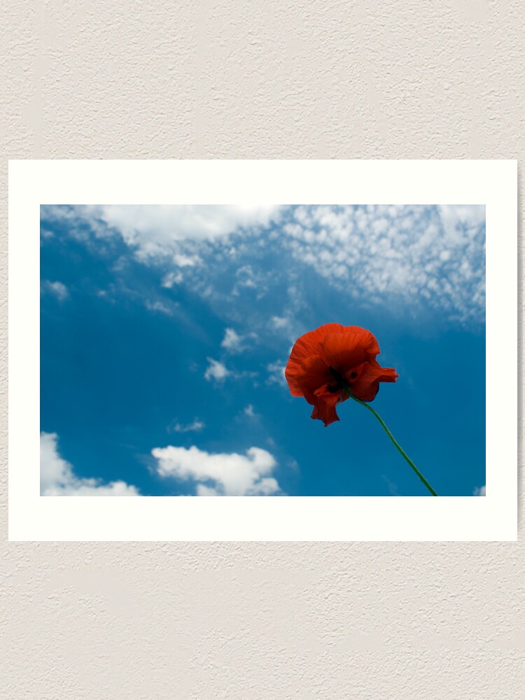 Alternate view of Looking Up Art Print