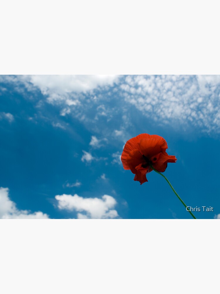 Looking Up by christait