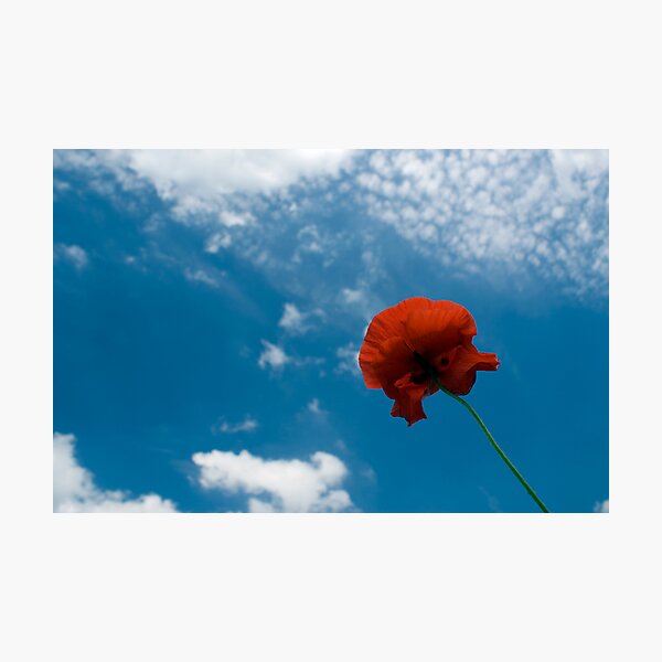 Item preview, Looking Up designed and sold by Chris Tait.