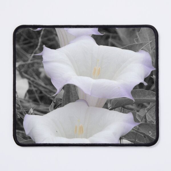 Item preview, Datura designed and sold by Robert Ball.