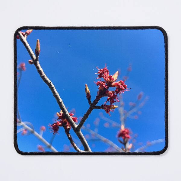 Item preview, pink flowers on tree designed and sold by StargemDesign.