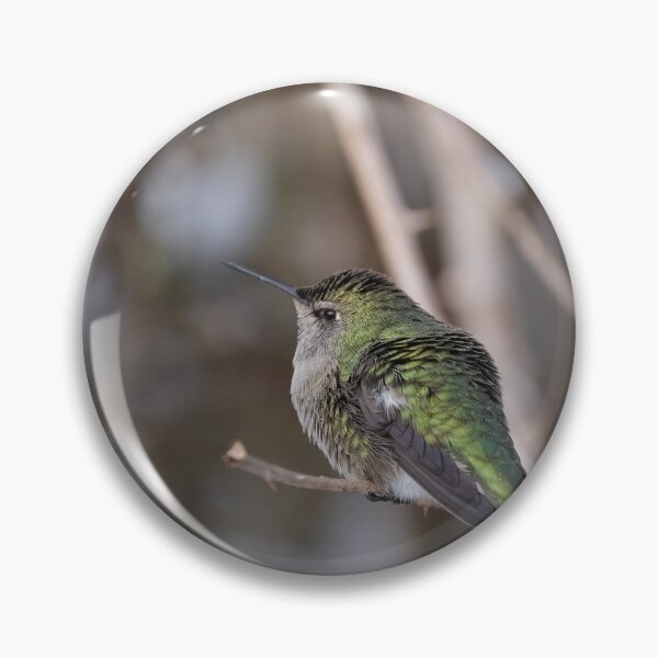 Item preview, Anna's Hummingbird Portrait designed and sold by wendy4496.