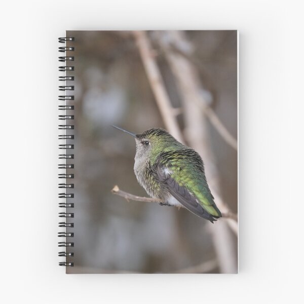 Item preview, Anna's Hummingbird Portrait designed and sold by wendy4496.