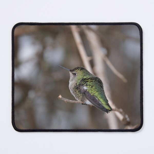 Item preview, Anna's Hummingbird Portrait designed and sold by wendy4496.
