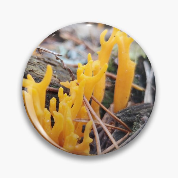 Item preview, Yellow Coral Fungus designed and sold by SunsetFirefly.
