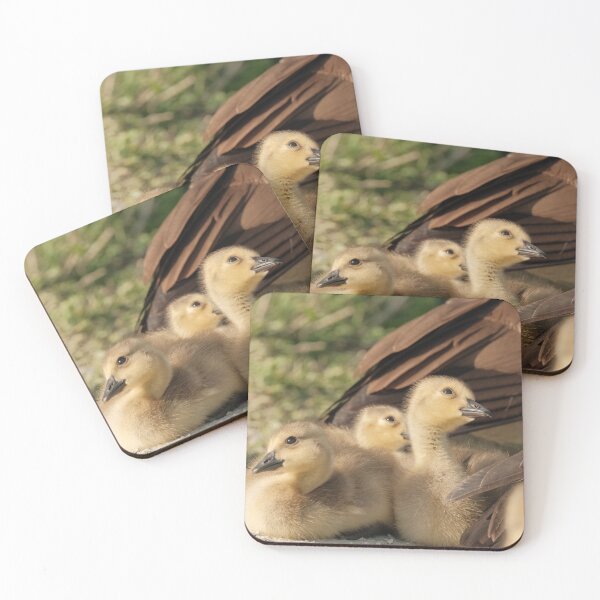 Item preview, Baby Goslings  designed and sold by wendy4496.