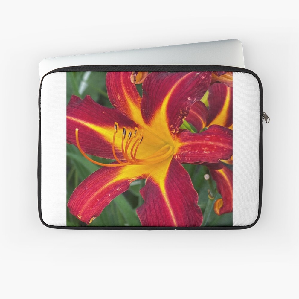 Item preview, Laptop Sleeve designed and sold by WindowofArt.