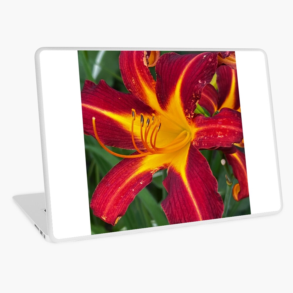 Item preview, Laptop Skin designed and sold by WindowofArt.