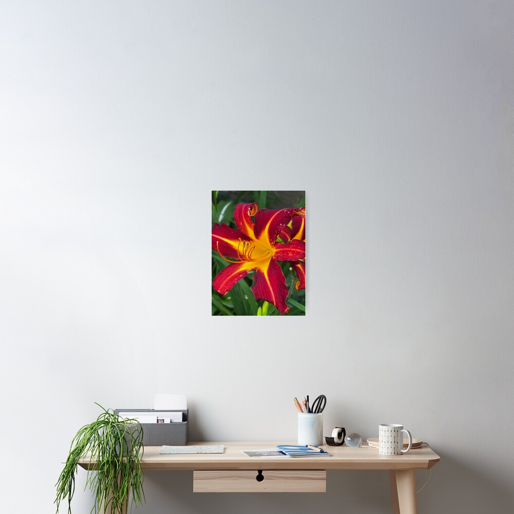 Item preview, Poster designed and sold by WindowofArt.