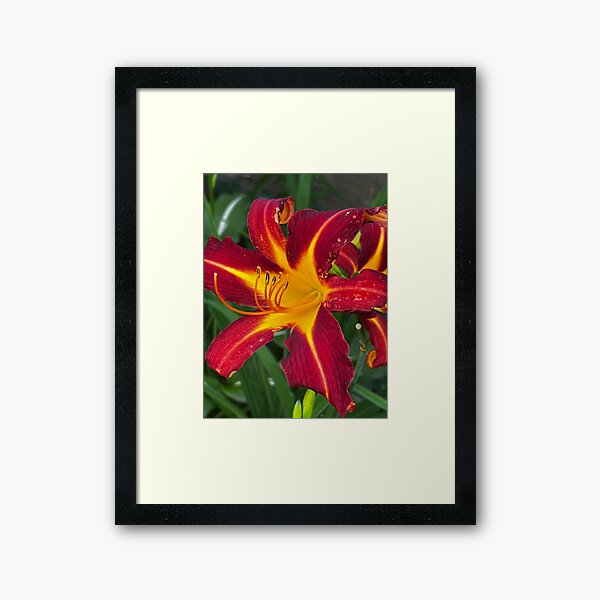 Item preview, Daylily designed and sold by IMAGE IMPRINT STUDIO.