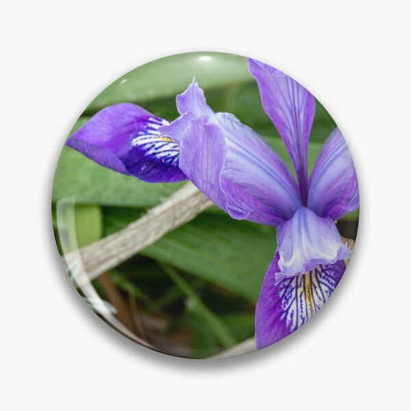 Artikelvorschau, Nahaufnahme einer violetten Zwergiris entworfen und verkauft von lisavonbiela.