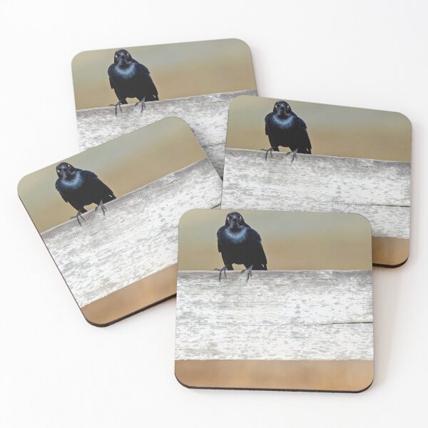 Item preview, Brewer's Blackbird looking directly at the viewer designed and sold by lisavonbiela.