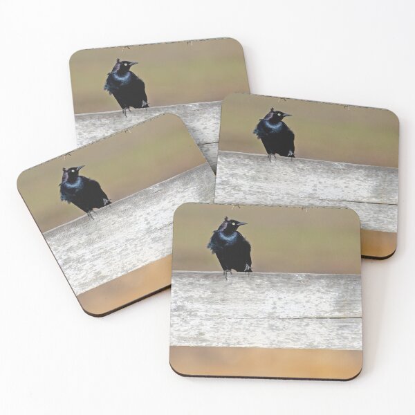Item preview, Brrewer's Blackbird getting ruffled by the wind designed and sold by lisavonbiela.