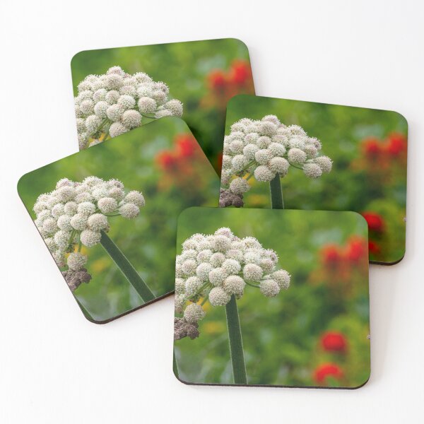 Item preview, Coast Angelica flower bloom in field designed and sold by lisavonbiela.