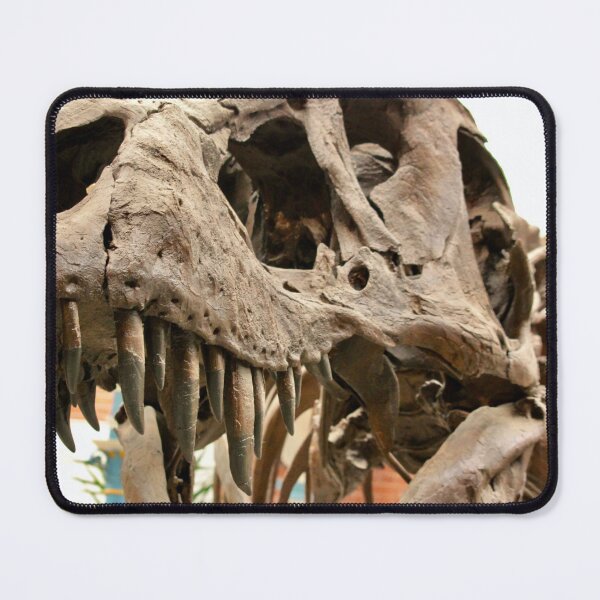 Item preview, T-Rex photo designed and sold by wesneves.
