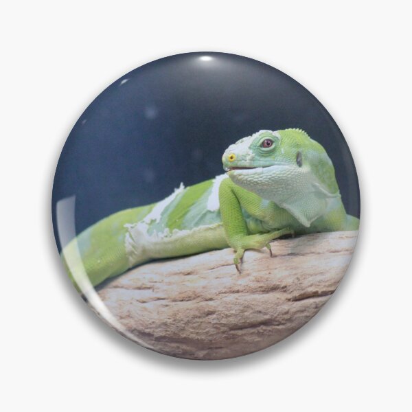 Item preview, Green Lizard Photo designed and sold by wesneves.