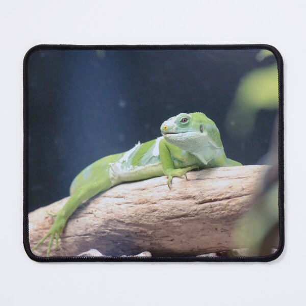 Item preview, Green Lizard Photo designed and sold by wesneves.