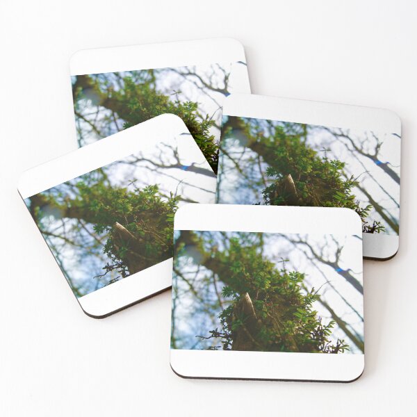 Item preview, Open of the woods designed and sold by wesneves.