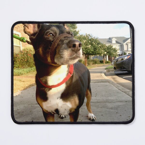 Item preview, Dog Walk designed and sold by ShutterbugBttns.