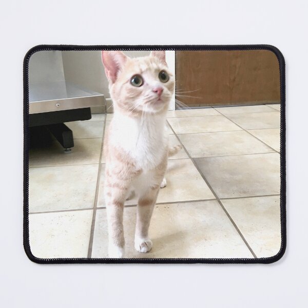 Item preview, Small Cat designed and sold by ShutterbugBttns.