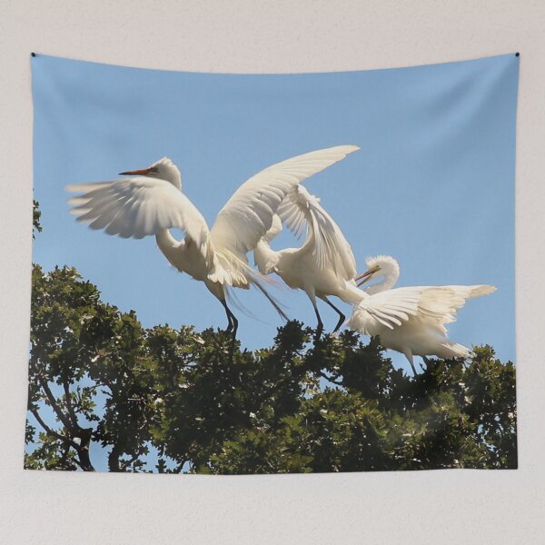 Item preview, Great Egret with Fledglings designed and sold by Photos by Michael J. Mesmer.