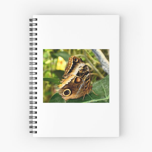 Item preview, Butterfly garden designed and sold by Bos2phx.