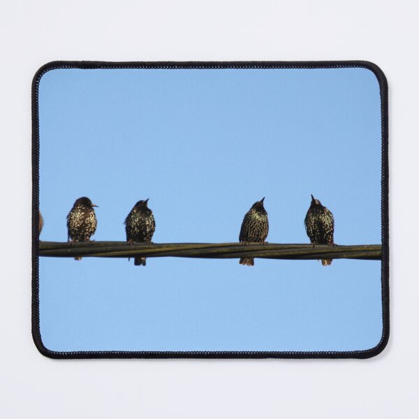 Item preview, Birds on a wire designed and sold by wesneves.