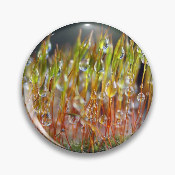 Item preview, Dew drops on moss designed and sold by wesneves.